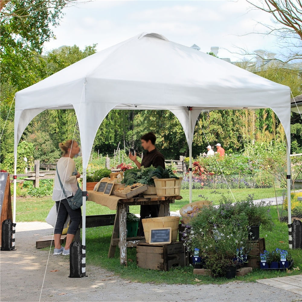 Renwick 10x10ft Pop-Up Instant Canopy Tent with 4 Sand Bags, White
