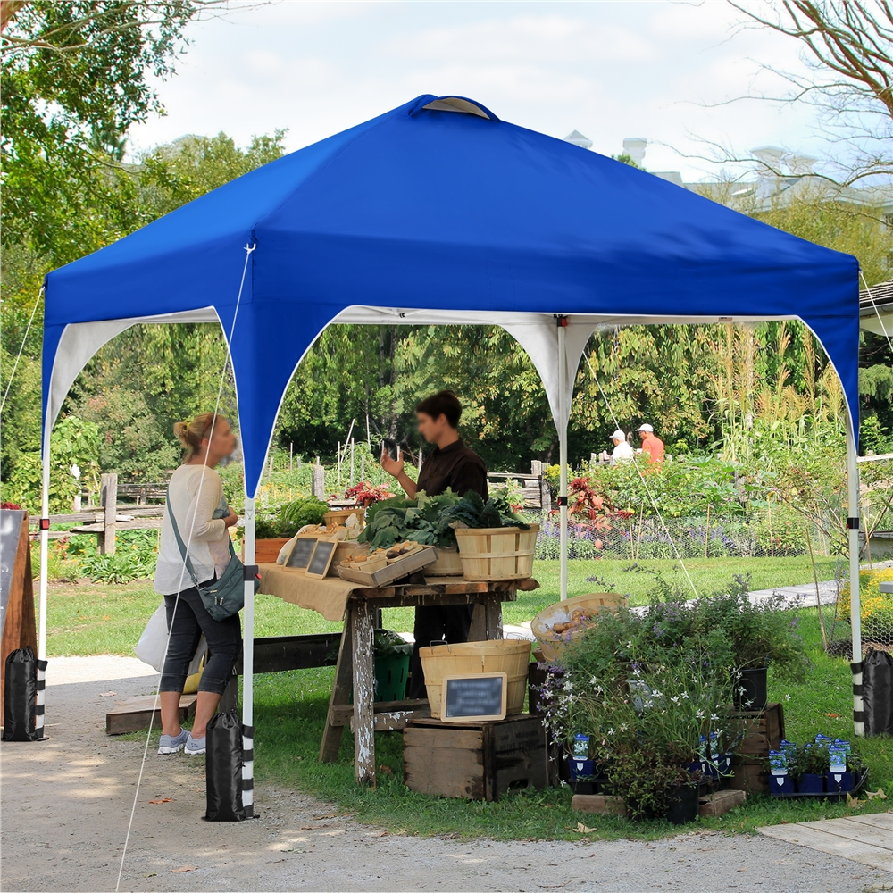 Renwick 10x10ft Outdoor Instant Pop-Up Canopy with 4 Sand Bags, Blue
